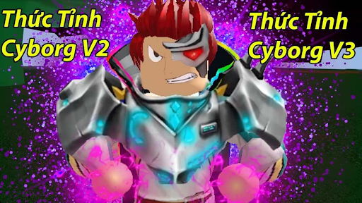 Cách lấy tộc Cyborg Blox Fruit chi tiết: Hướng dẫn từ A-Z cho game thủ 2025